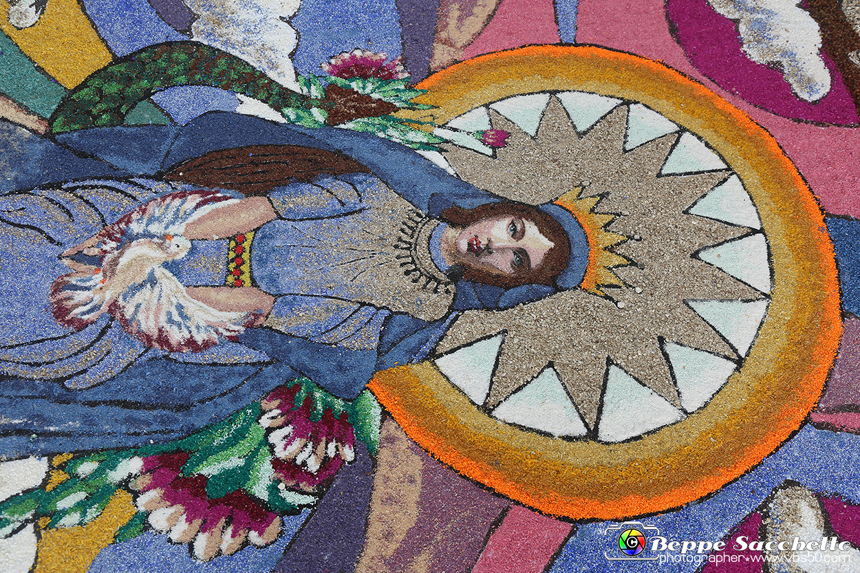 VBS_9609 - Infiorata di Villanova d'Asti 2023.jpg